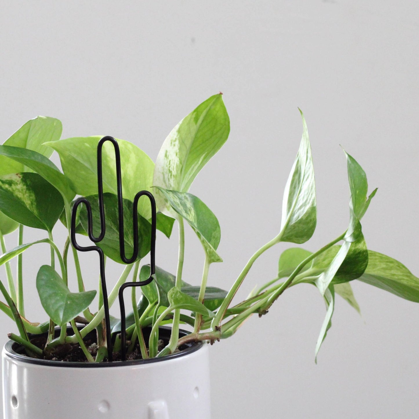 Decorative cactus-shaped plant stake handcrafted from black aluminium; doubles as a plant support and a unique gift card holder—perfect as a sustainable plant gift idea.