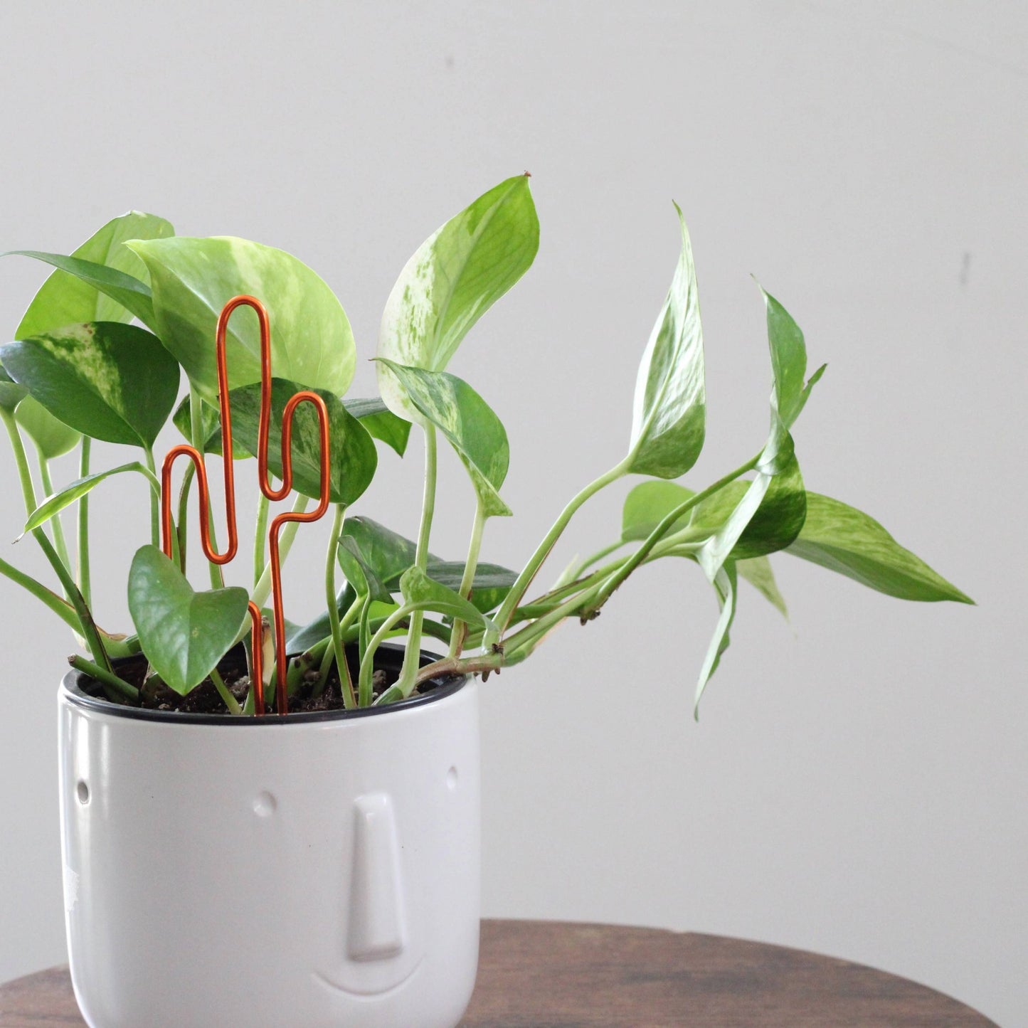 Decorative cactus-shaped plant stake handcrafted from dark copper aluminium; doubles as a plant support and a unique gift card holder—perfect as a sustainable plant gift idea.