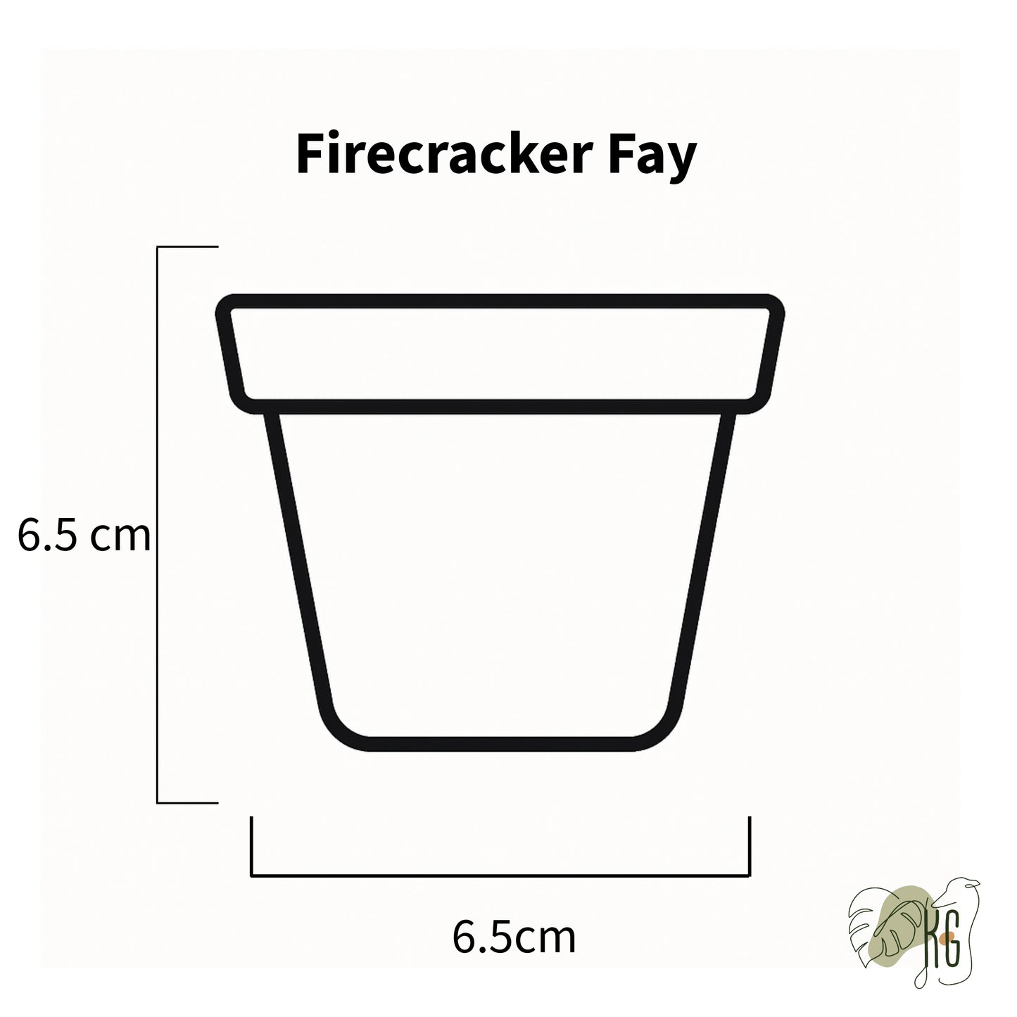 Firecracker Fay