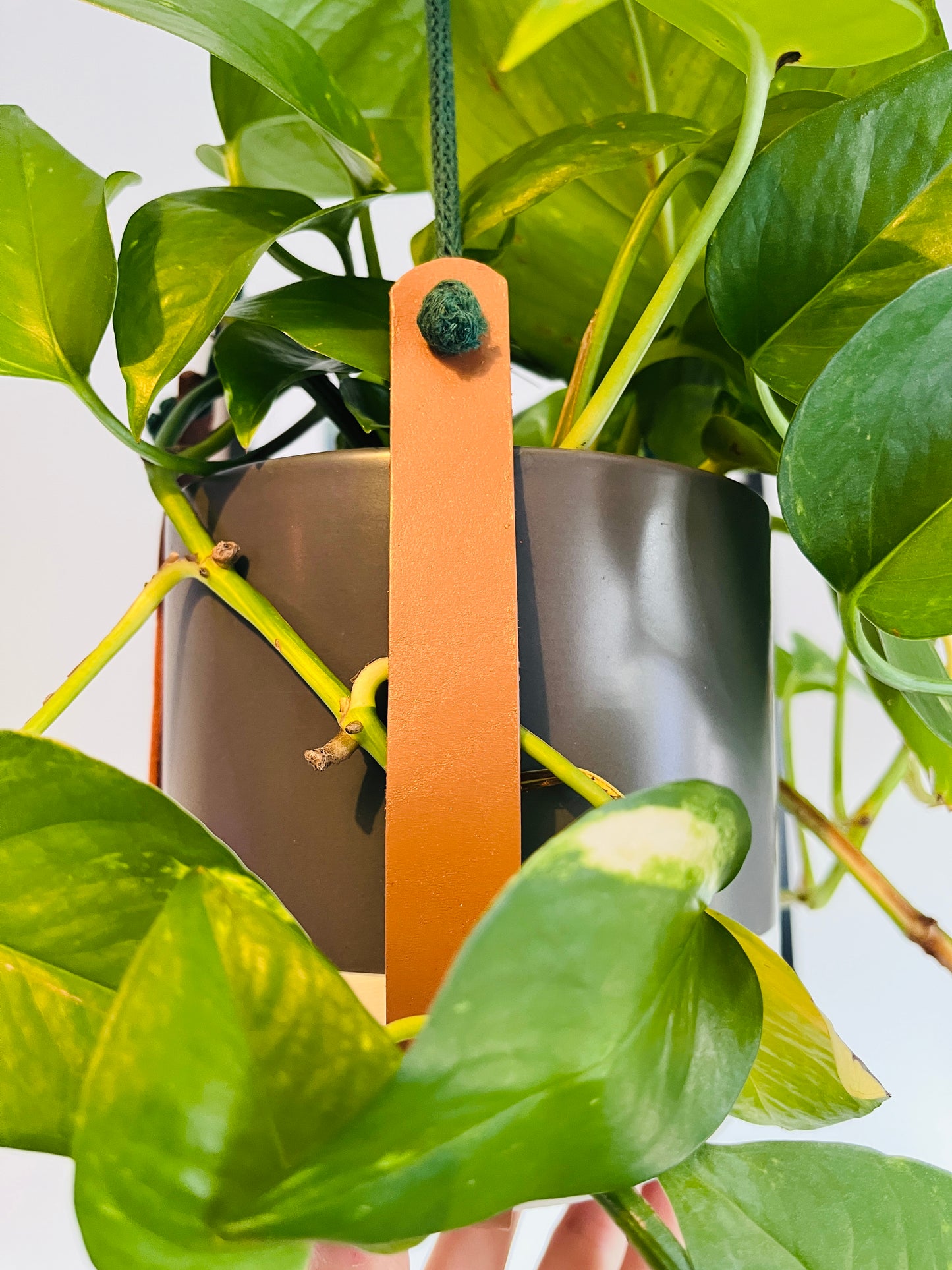 Handmade Leather and Cotton Cord Plant Hanger