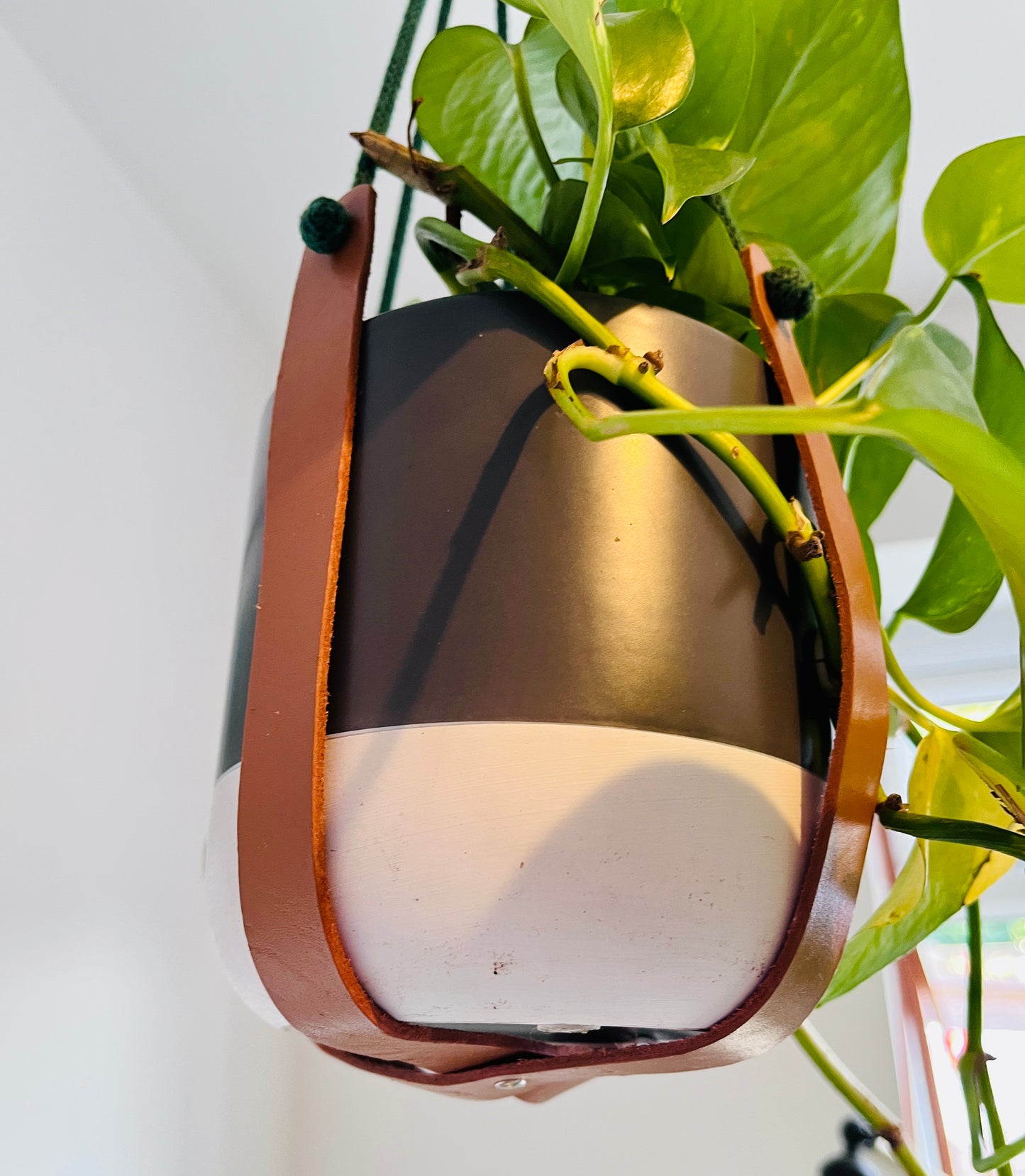 Hanging planter with green plant on a white wall