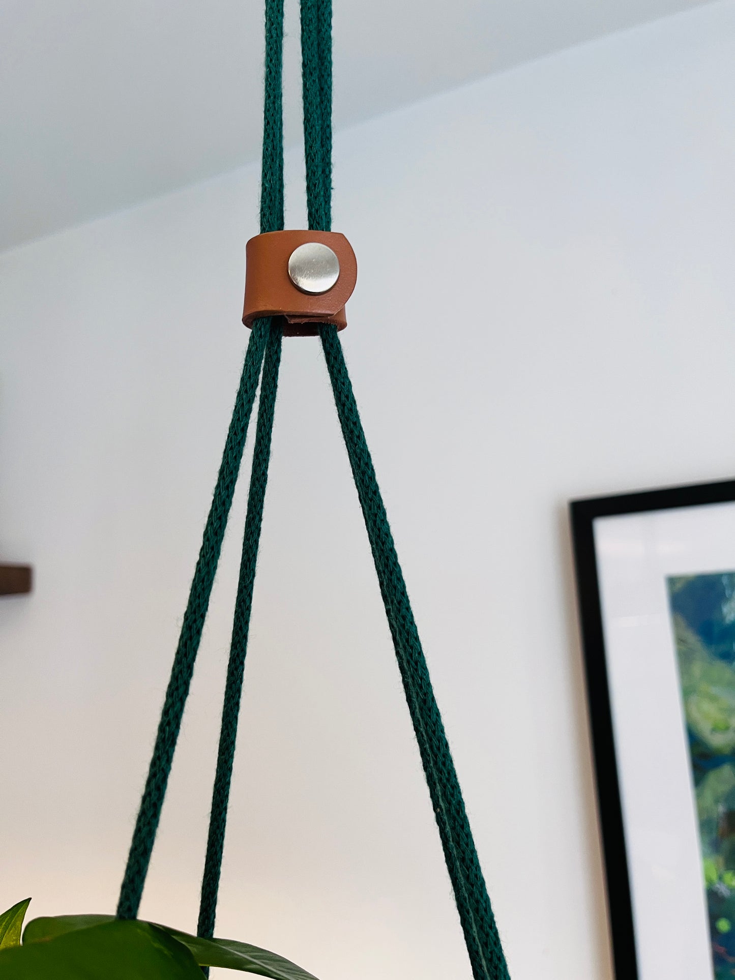 Close-up of a green rope plant hanger with a brown leather strap and metal clip against a white wall.