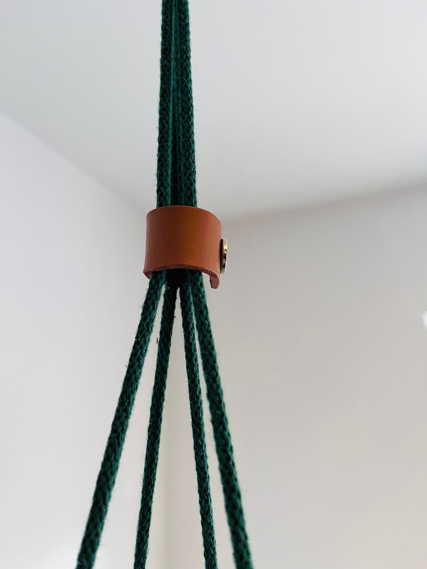 Close-up of green rope with a brown leather sleeve against a white background