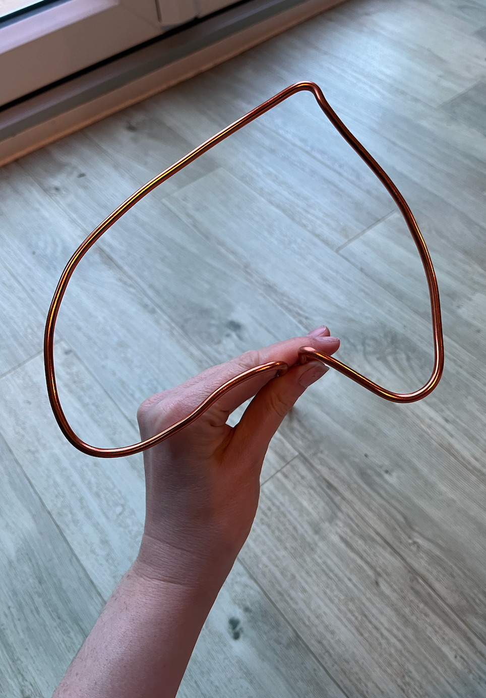 Monstera Dubia Leaf-Shaped Plant Support