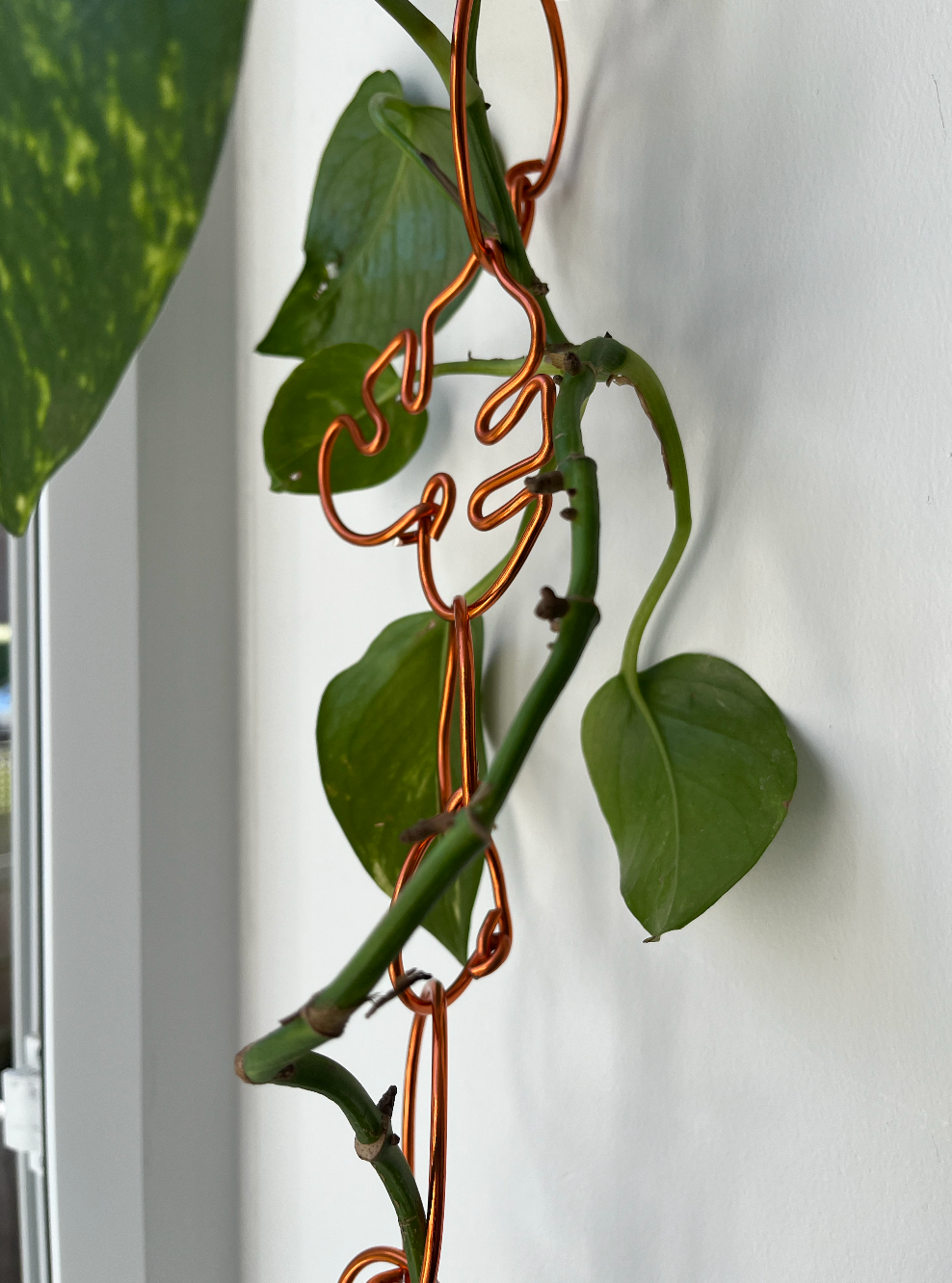 Chain Link Trellis – Aluminium Climbing Plant Support