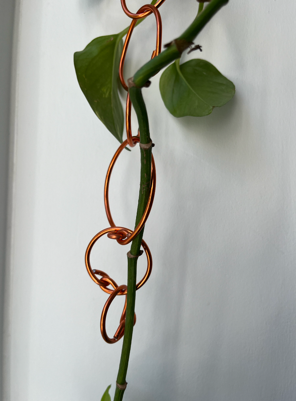 Chain Link Trellis – Aluminium Climbing Plant Support