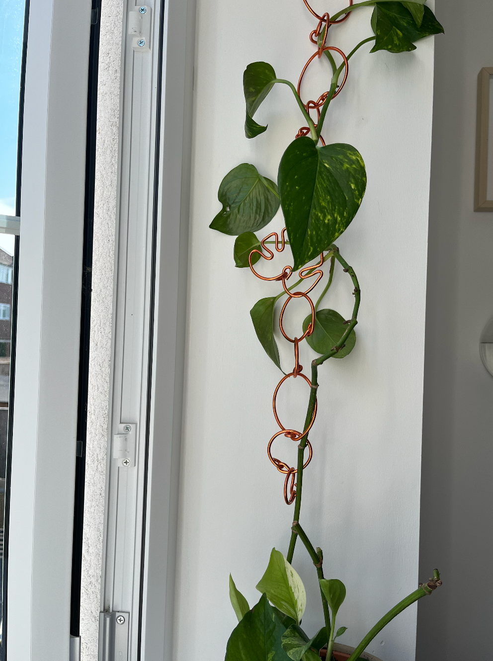 Chain Link Trellis – Aluminium Climbing Plant Support