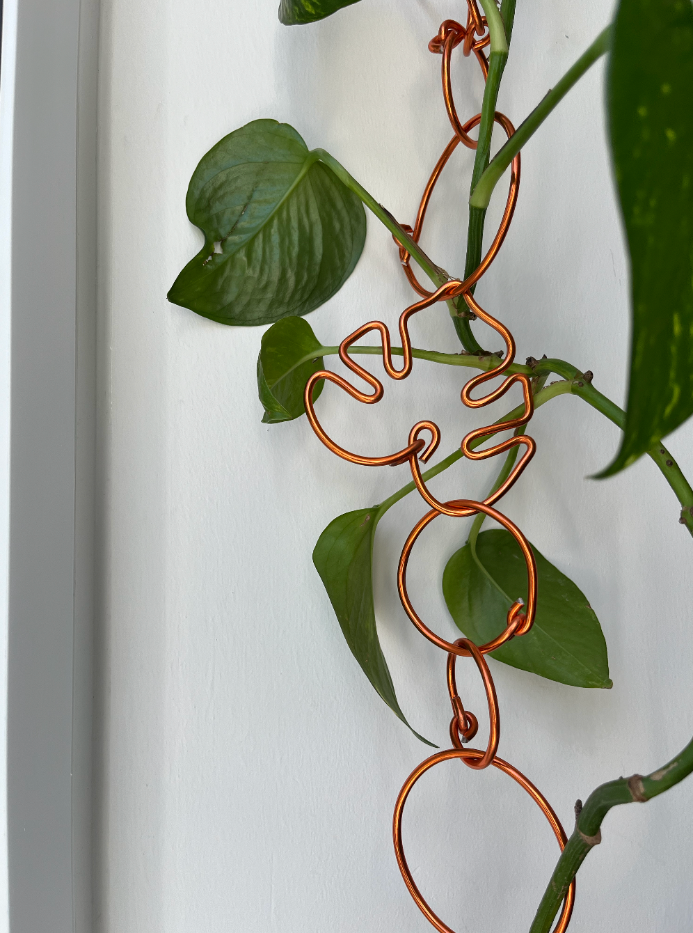 Chain Link Trellis – Aluminium Climbing Plant Support