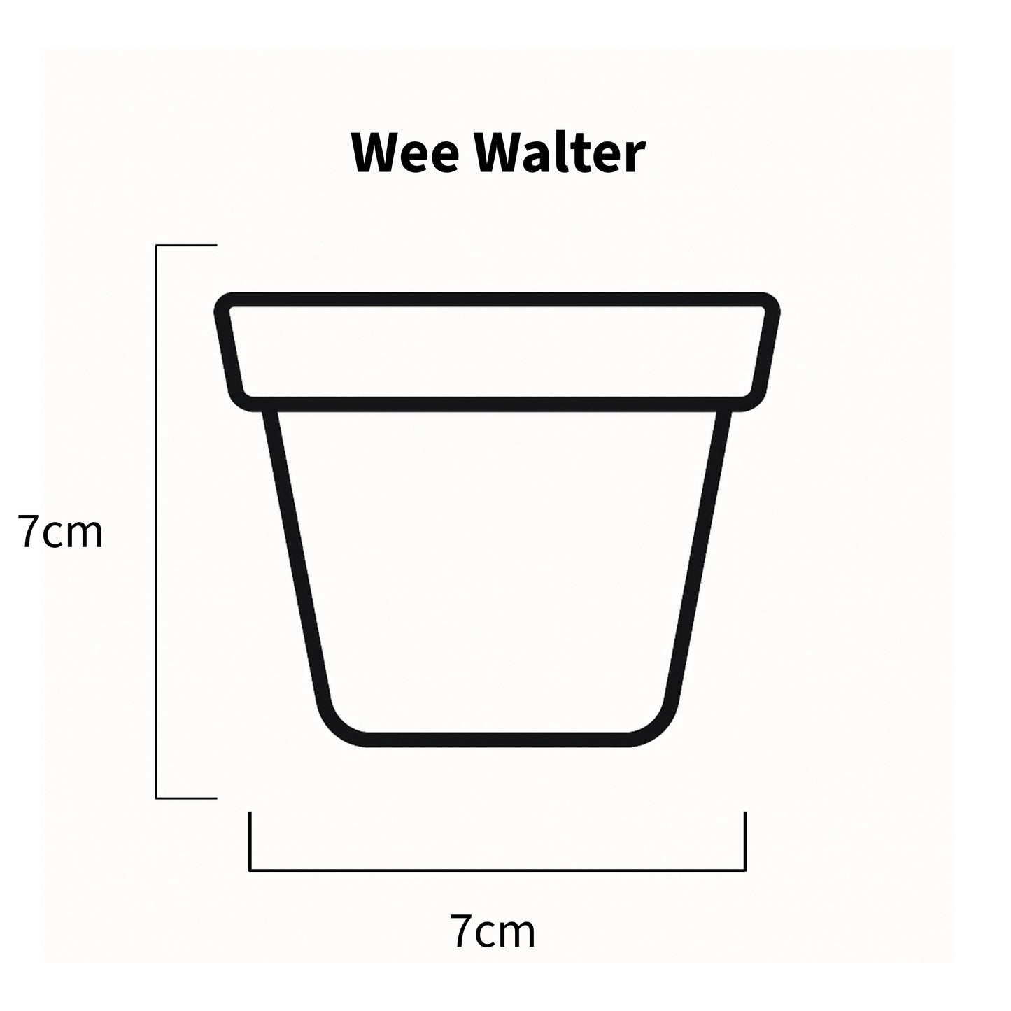Wee Walter