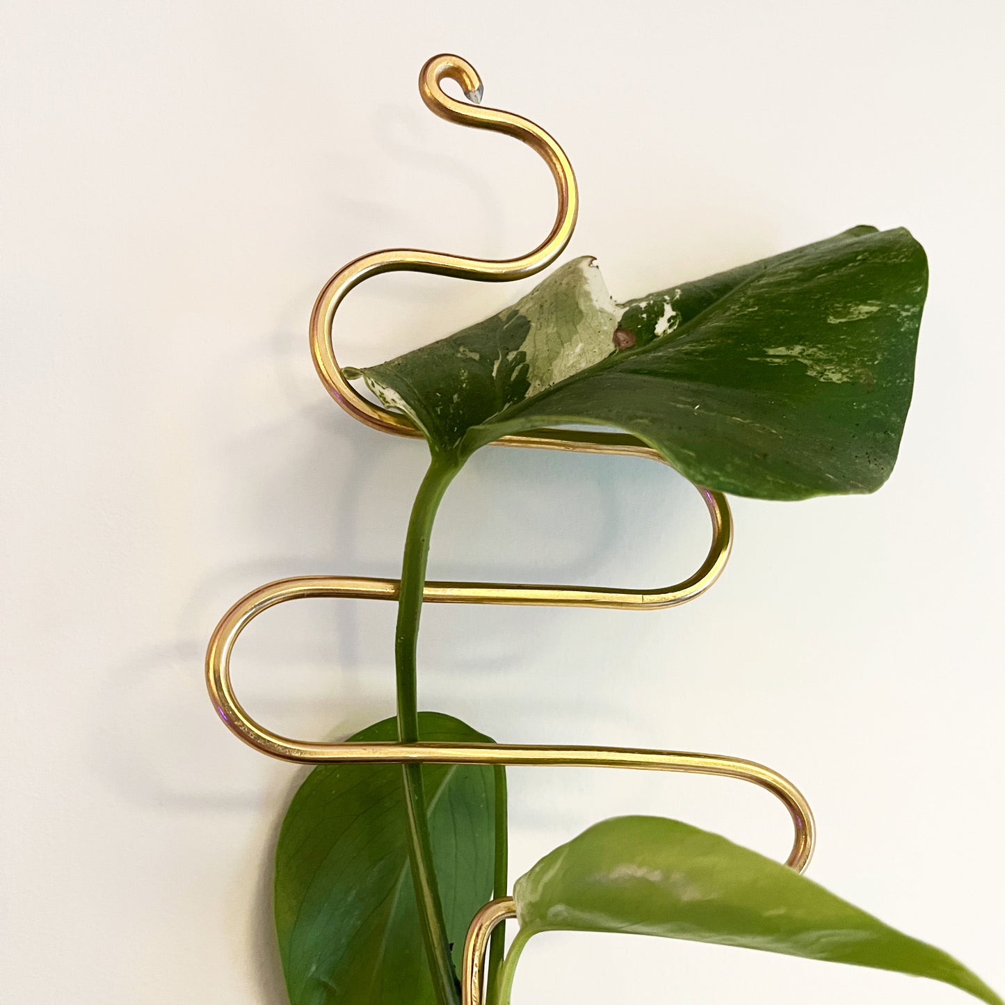 Wiggle Plant Stake
