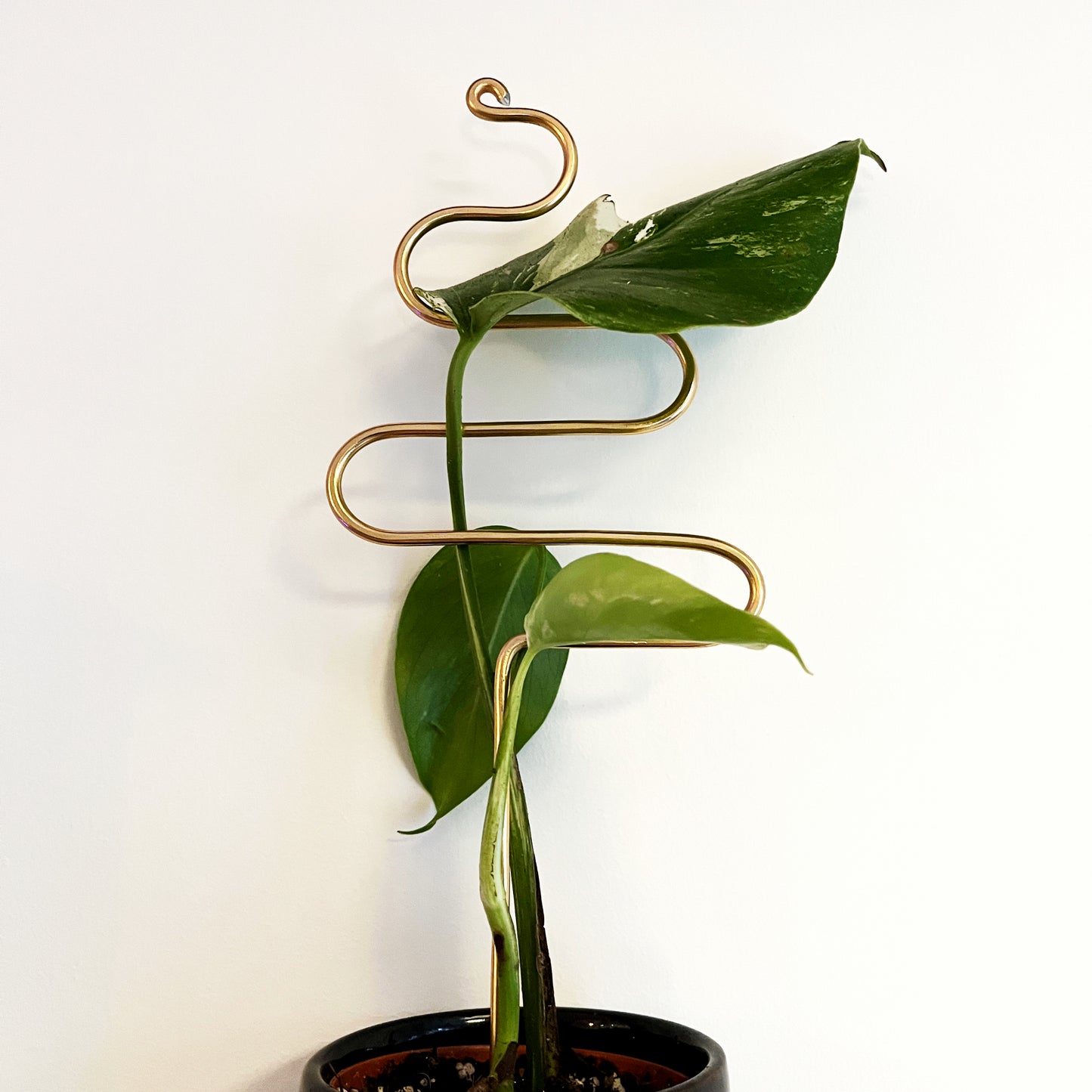 Wiggle Plant Stake