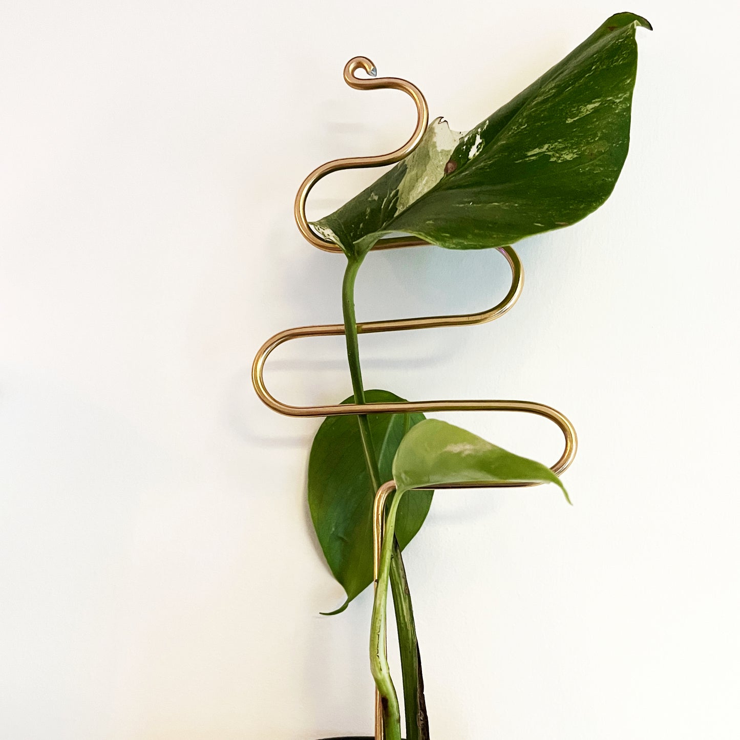 Wiggle Plant Stake