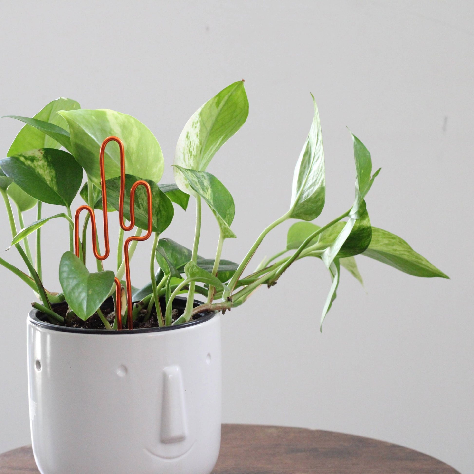 Decorative cactus-shaped plant stake handcrafted from dark copper aluminium; doubles as a plant support and a unique gift card holder—perfect as a sustainable plant gift idea.