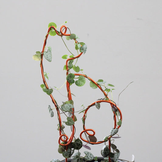 Cat-shaped plant trellis handcrafted from sustainable aluminium wire in a rich copper tone; a playful, decorative support for trailing plants like String of Hearts, perfect for pet lovers and plant enthusiasts.