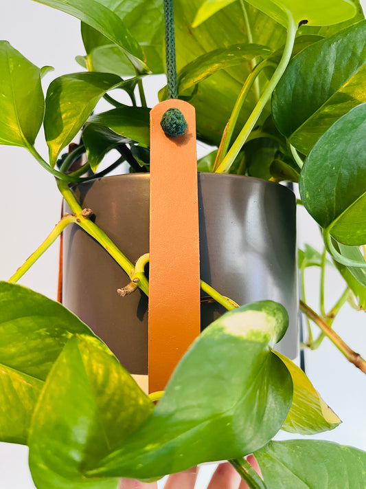 Handmade Leather and Cotton Cord Plant Hanger